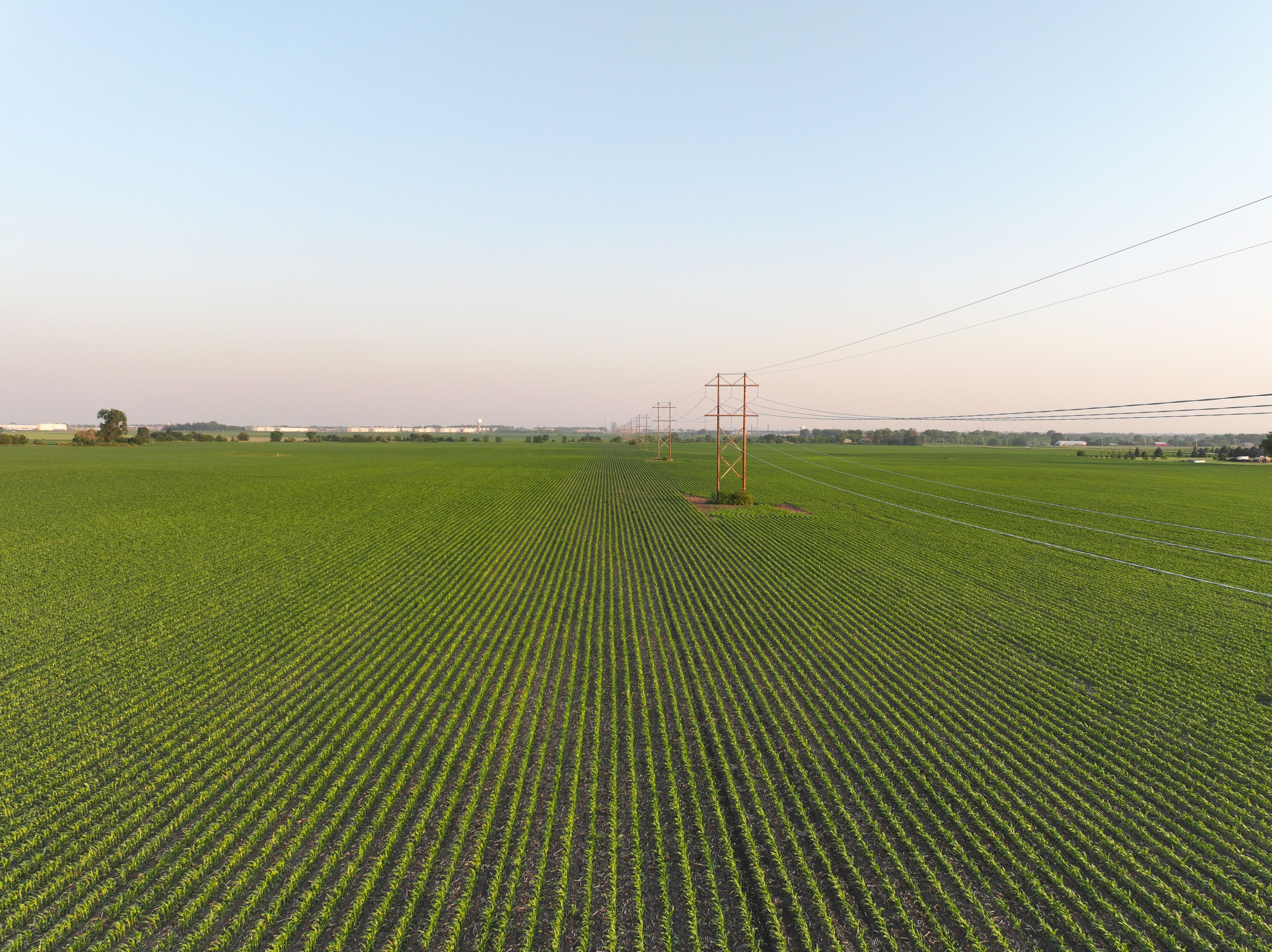 Listing Photo: Photo 2